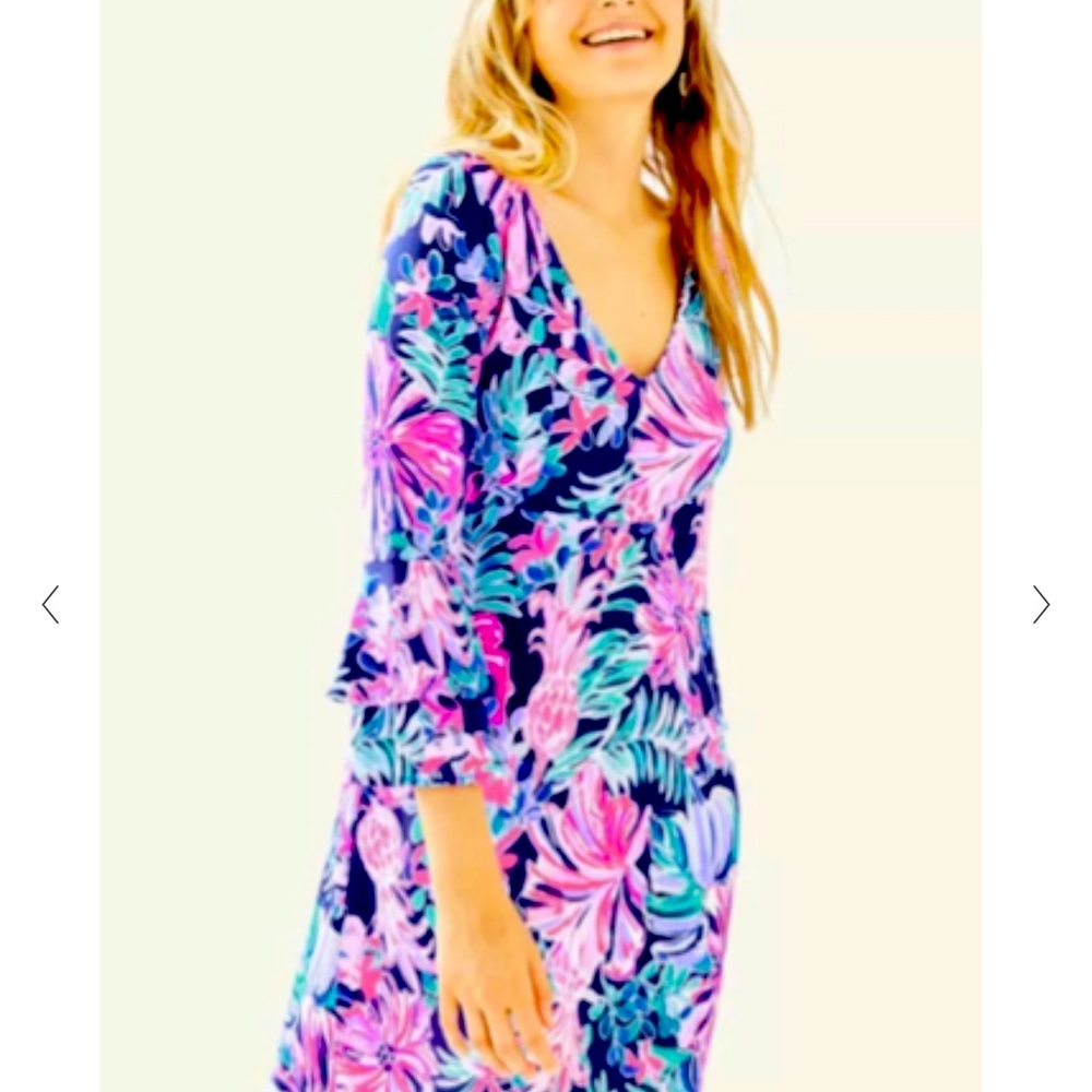 Raina lilly pulitzer dress